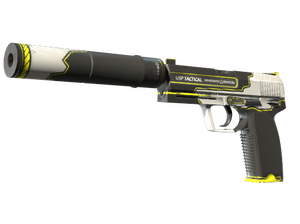 USP-S | Закрученный (Немного поношенное)
